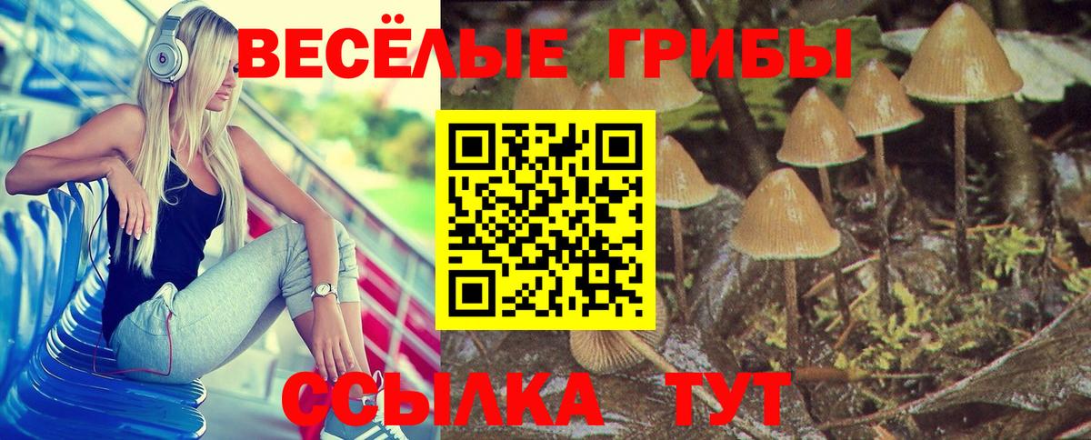 Псилоцибиновые грибы Cubensis Кинель