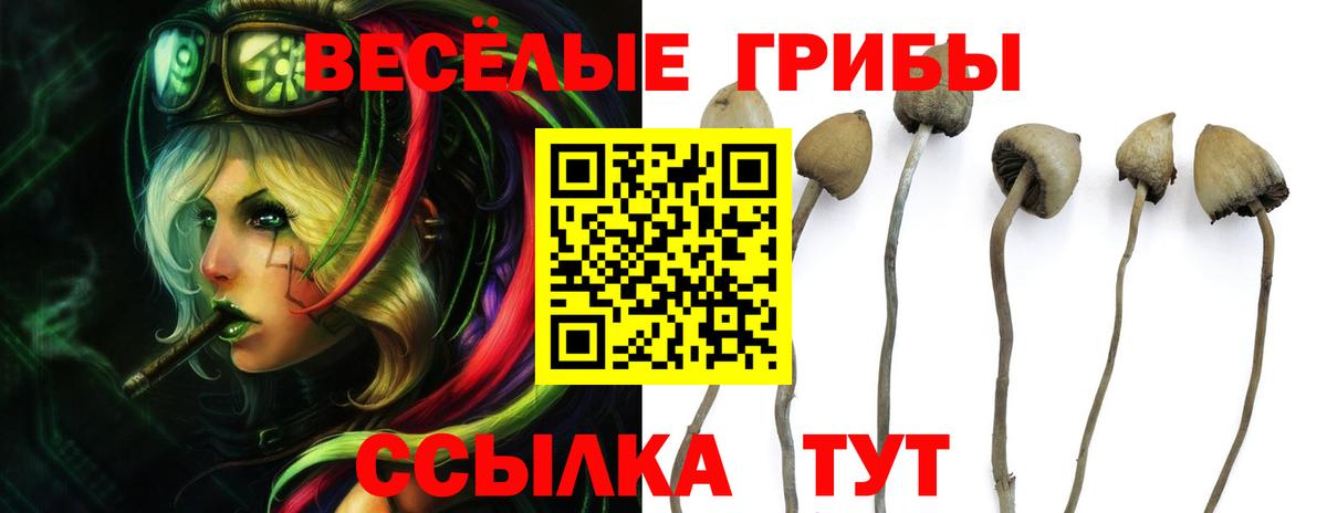 Кинель  Галлюциногенные грибы MAGIC MUSHROOMS  Вход с VPN 
