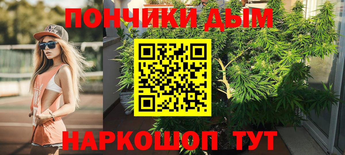 Бошки марихуана Bruce Banner  Канабис White Widow  Канабис конопля  Кинель 